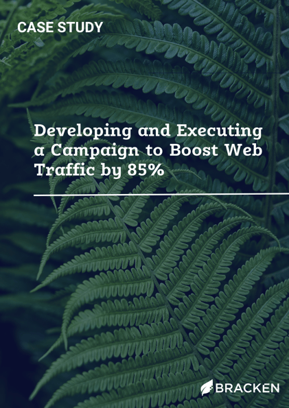 TBG Case Study - Developing and Executing a Campaign to Boost Web Traffic by 85% (5)