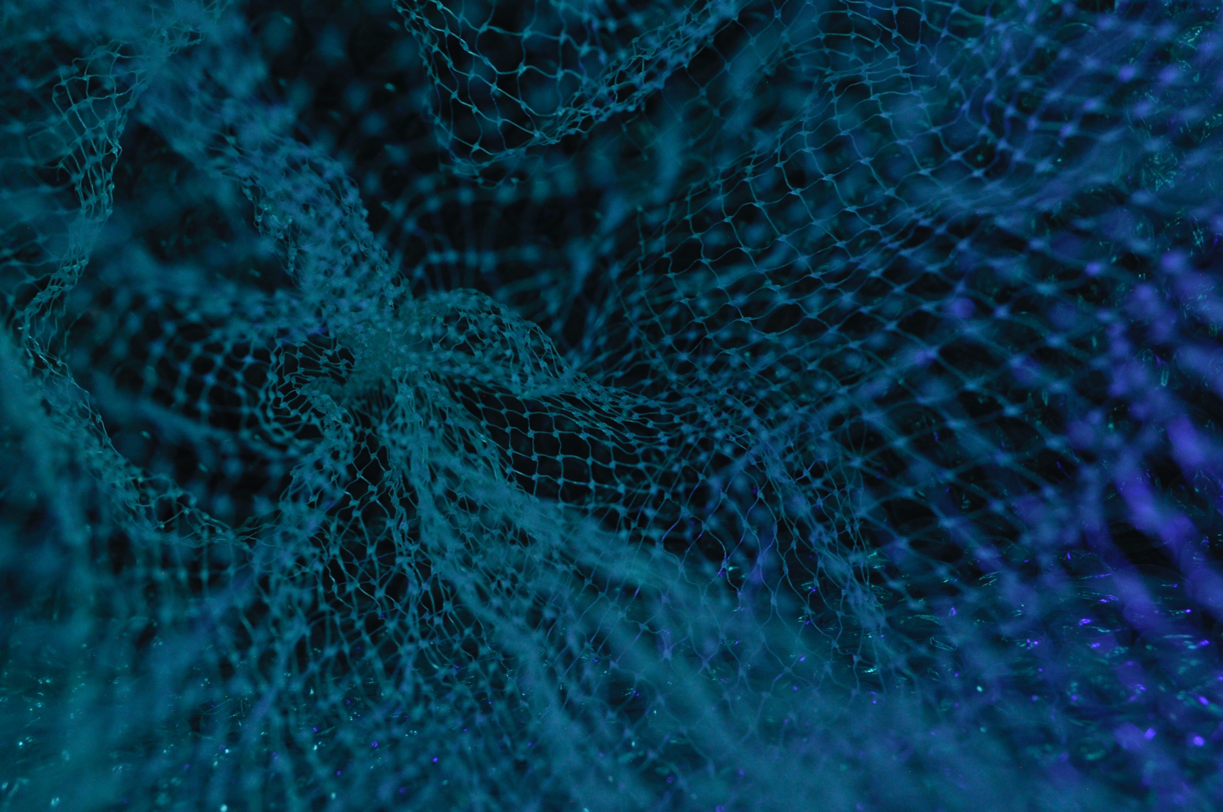 Navigating the Maze: The Frustrations of ClinicalTrials.gov